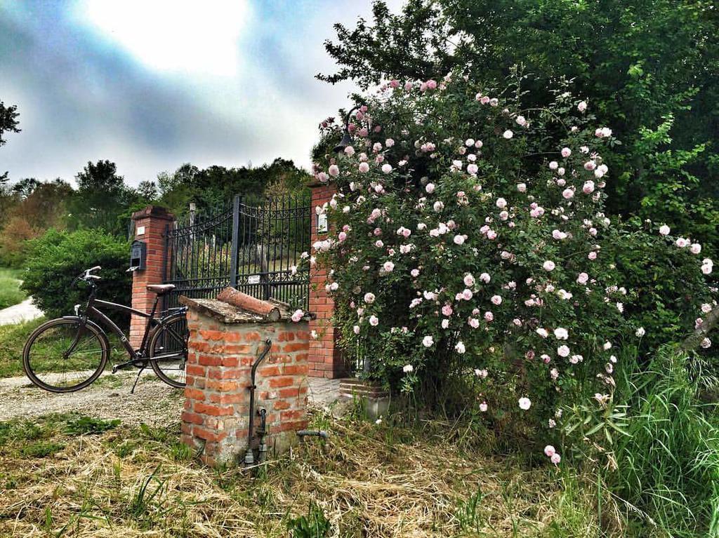 Villa Fienile Da Primo San Giovanni Valdarno Exterior foto